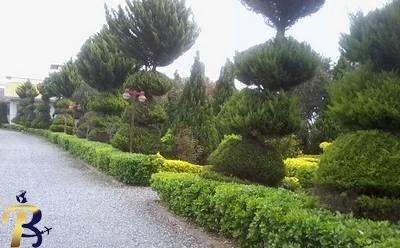 گالری تصاویر