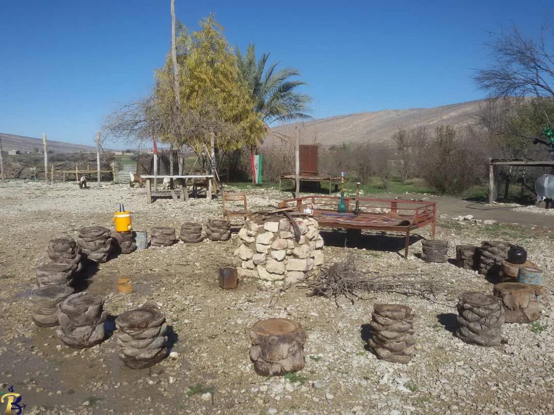 گالری تصاویر