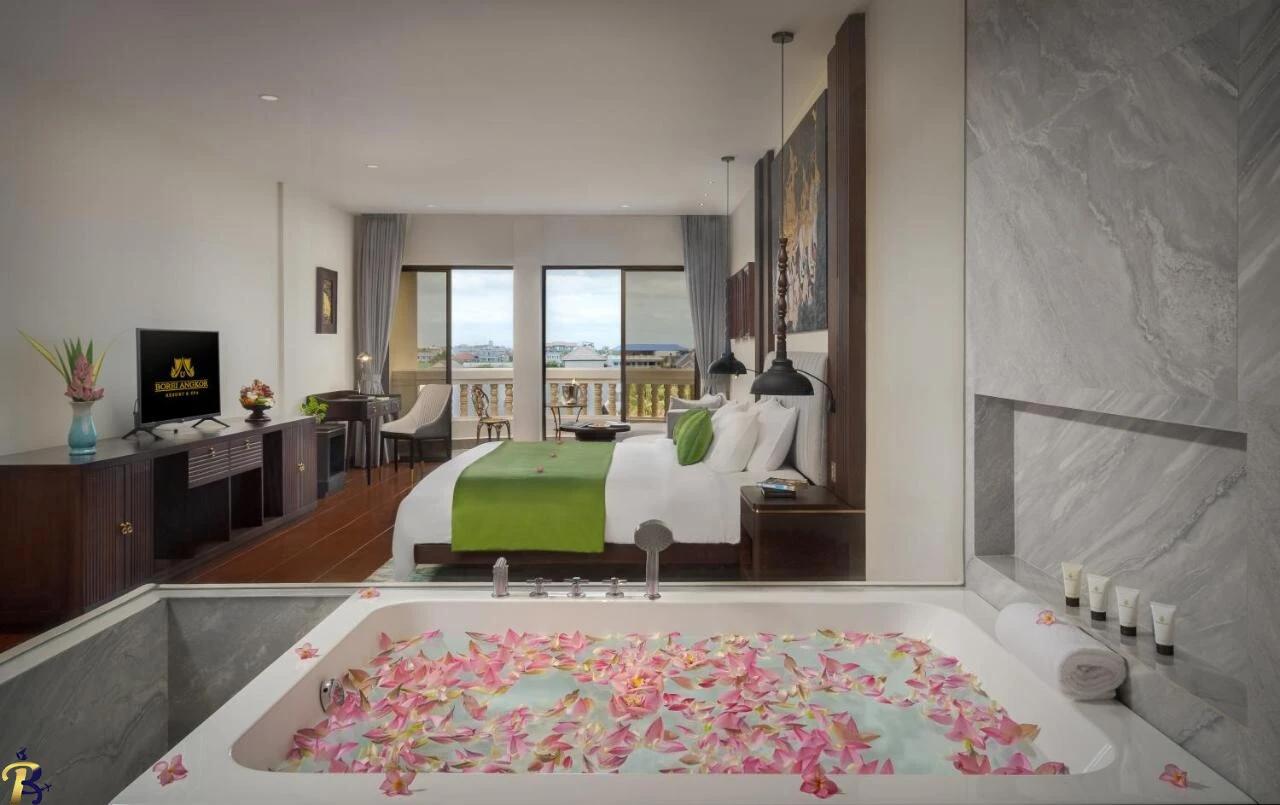 گالری تصاویر