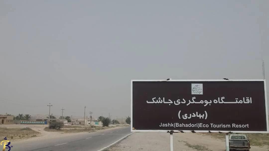 گالری تصاویر