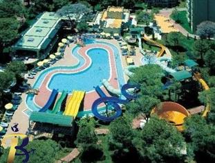 گالری تصاویر