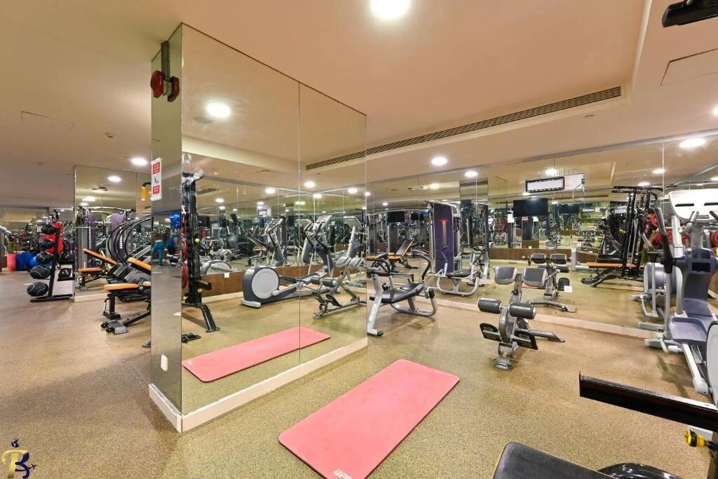 گالری تصاویر