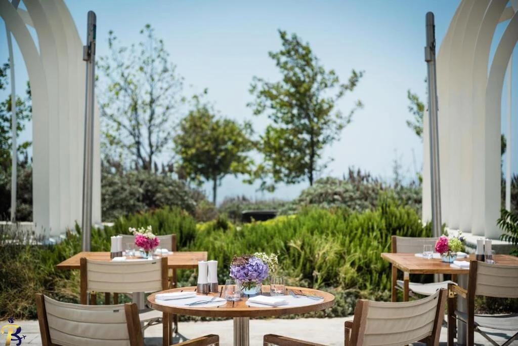 گالری تصاویر