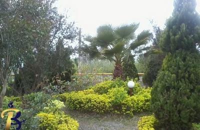 گالری تصاویر