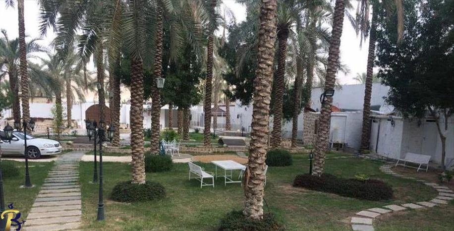 گالری تصاویر