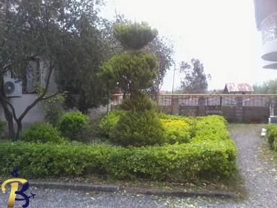 گالری تصاویر