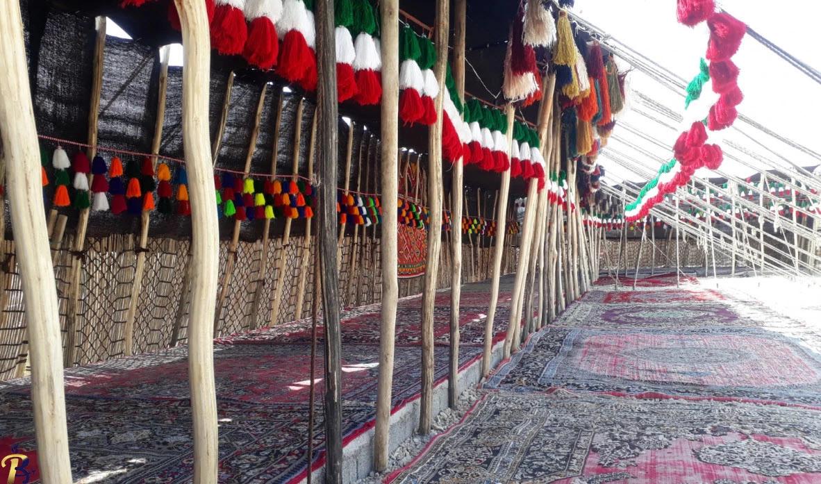 گالری تصاویر