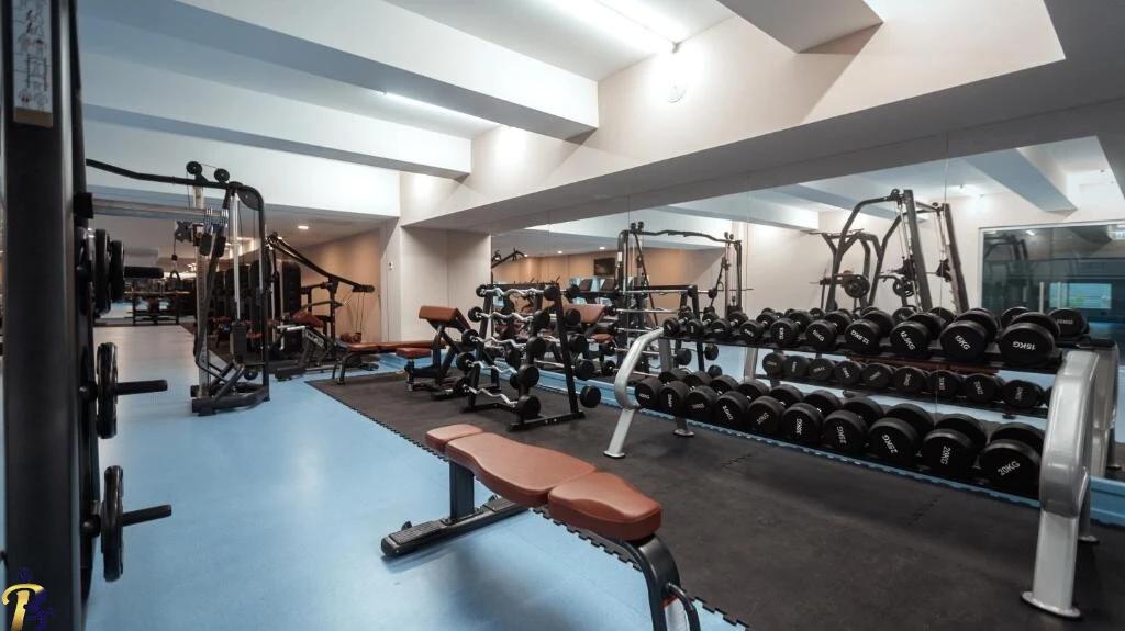 گالری تصاویر