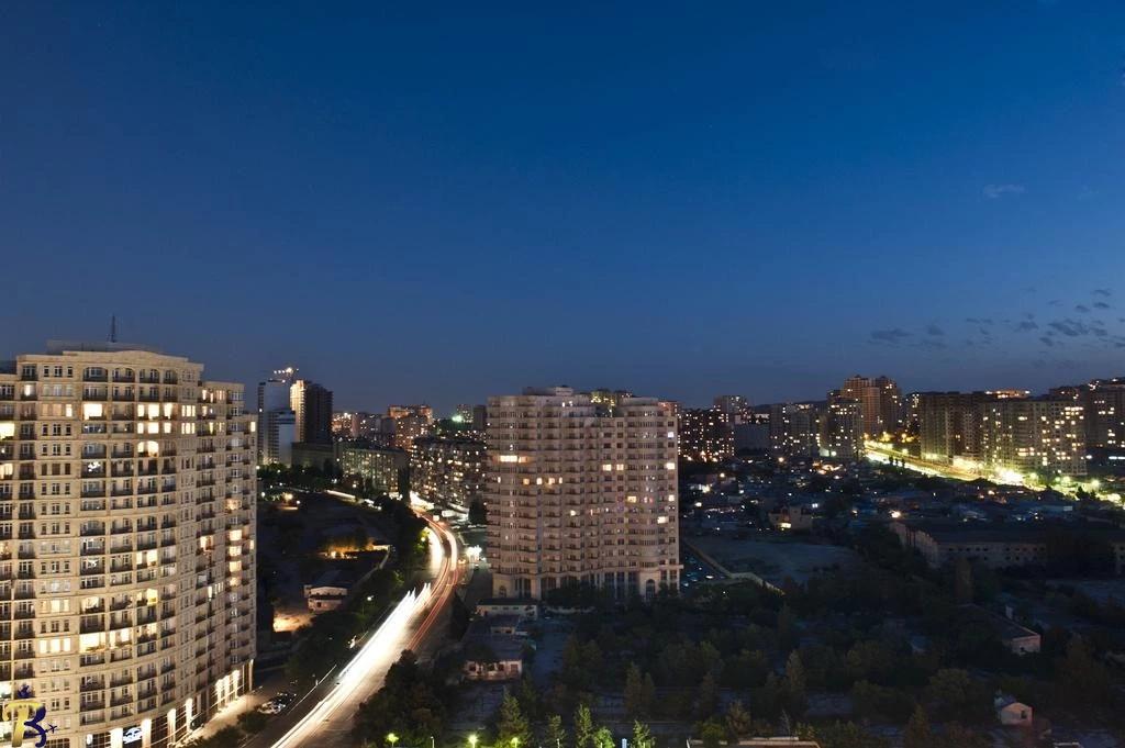 گالری تصاویر