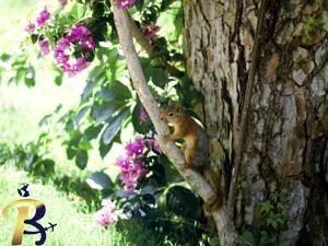 گالری تصاویر