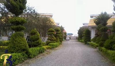 گالری تصاویر