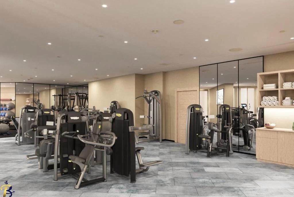 گالری تصاویر