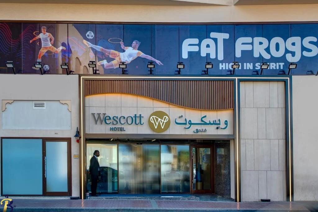 گالری تصاویر