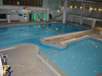 گالری تصاویر