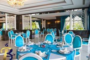 گالری تصاویر