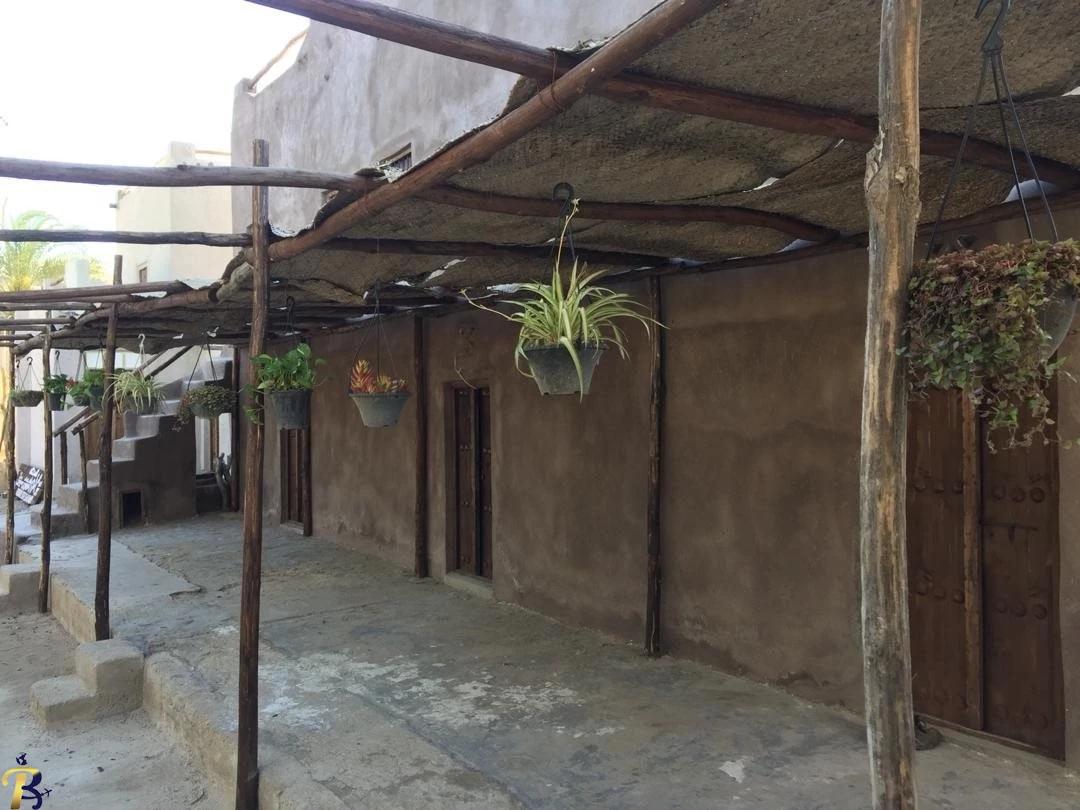 گالری تصاویر