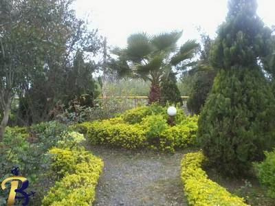 گالری تصاویر