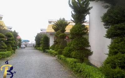 گالری تصاویر