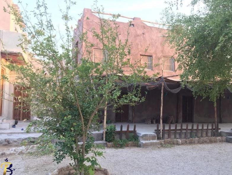 گالری تصاویر