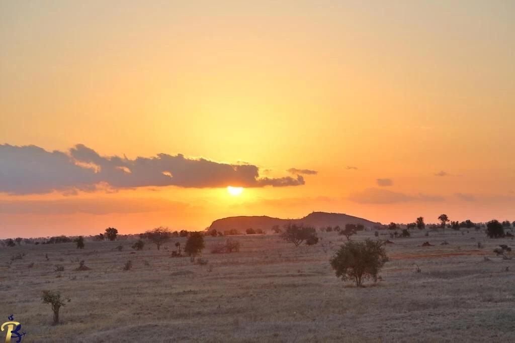 گالری تصاویر