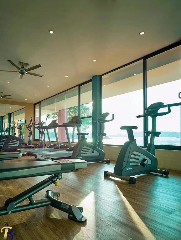 گالری تصاویر