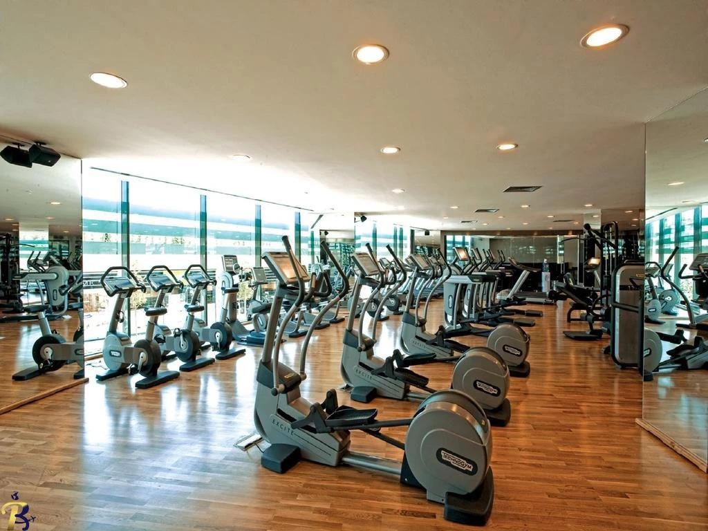 گالری تصاویر