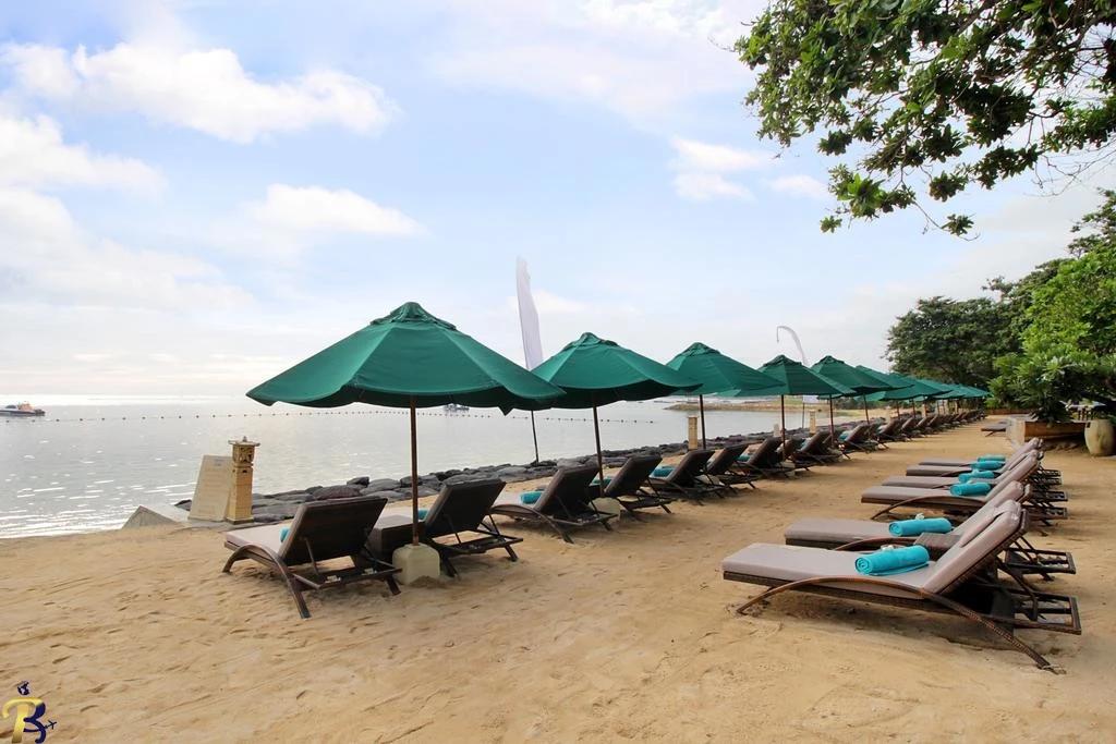 گالری تصاویر