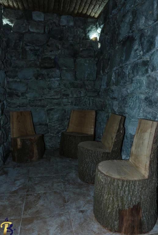 گالری تصاویر