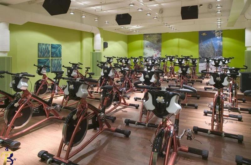 گالری تصاویر