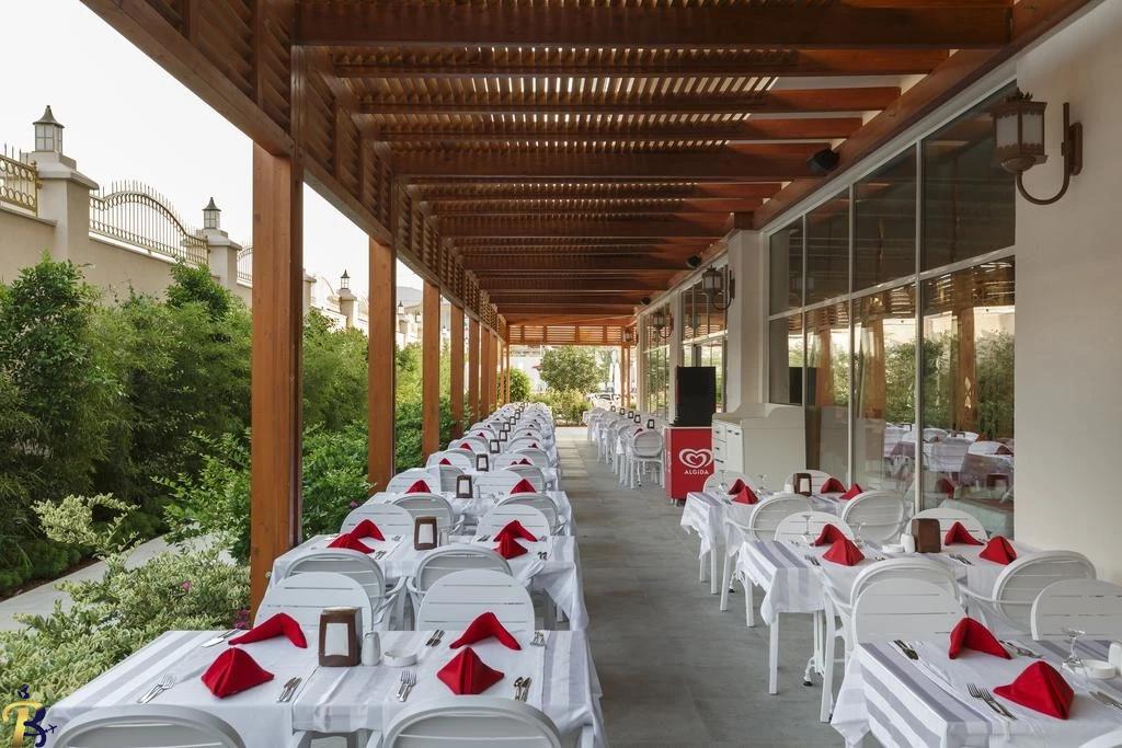 گالری تصاویر