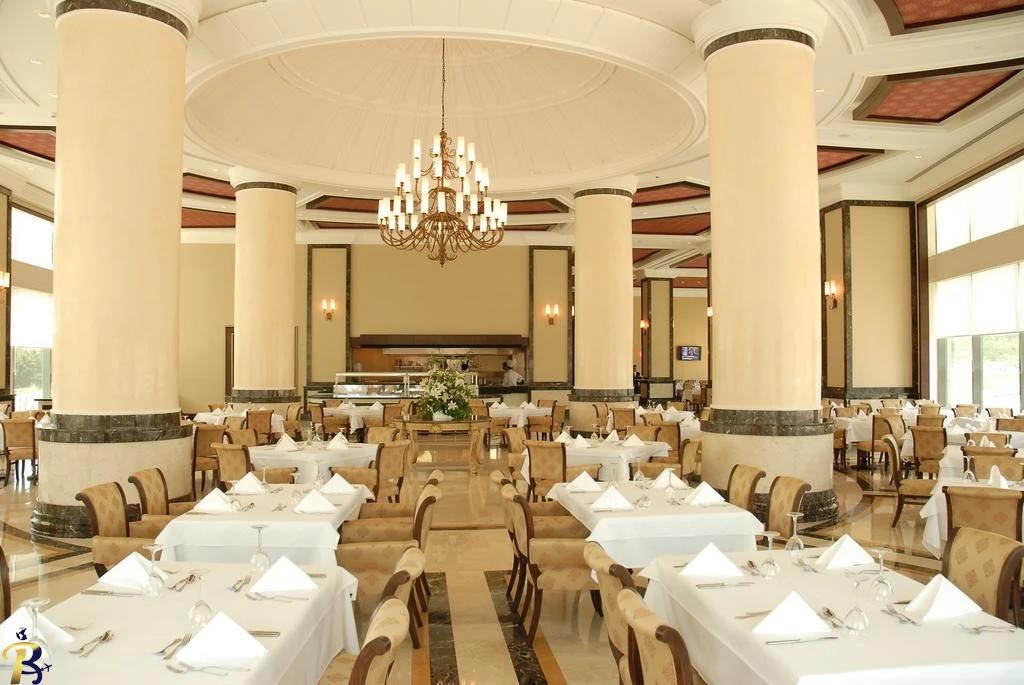 گالری تصاویر