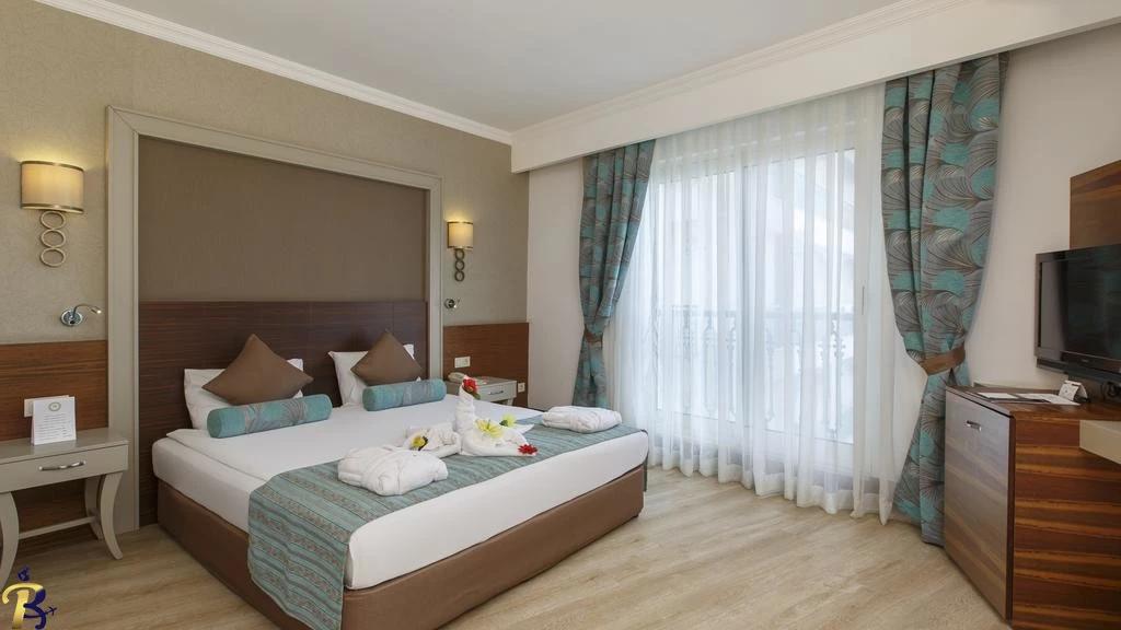 گالری تصاویر