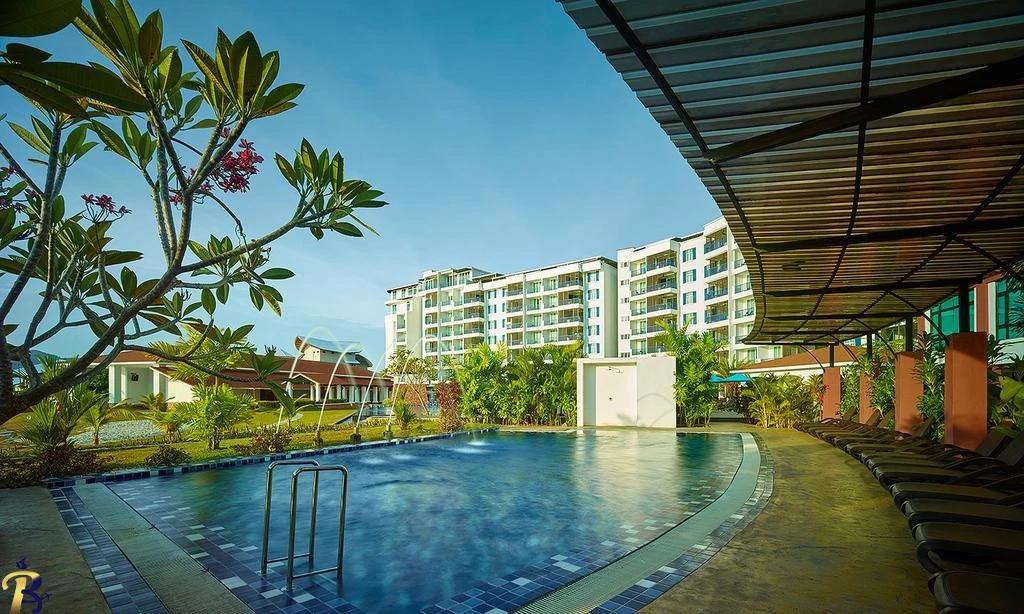 گالری تصاویر