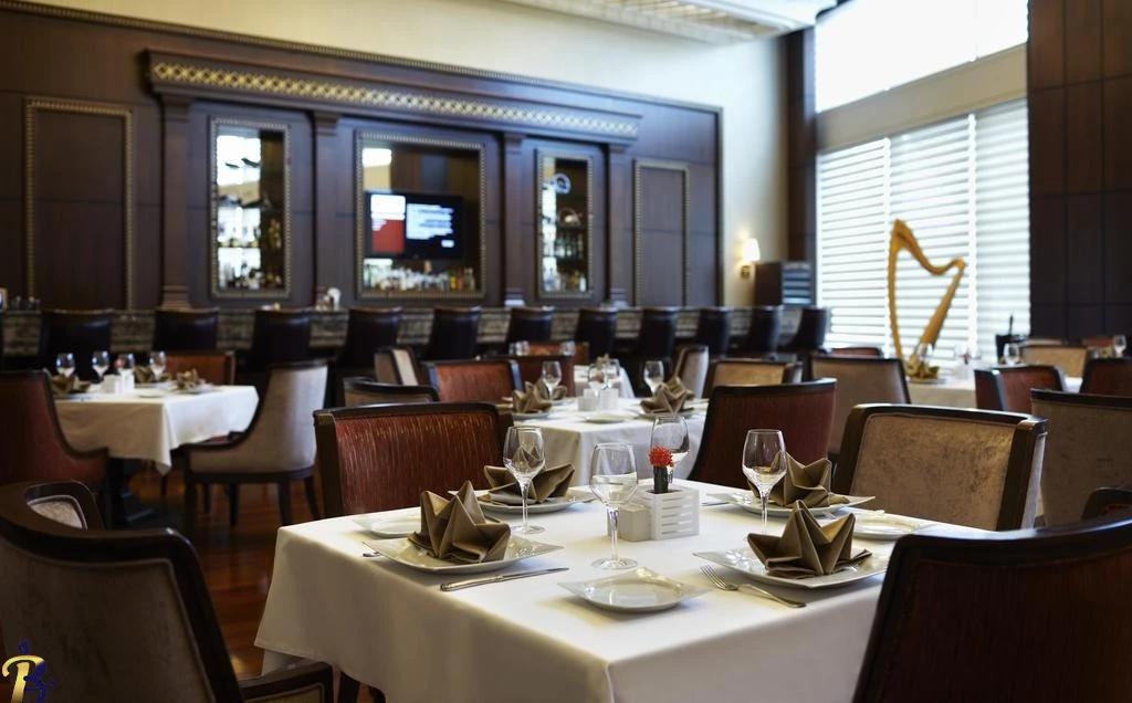 گالری تصاویر