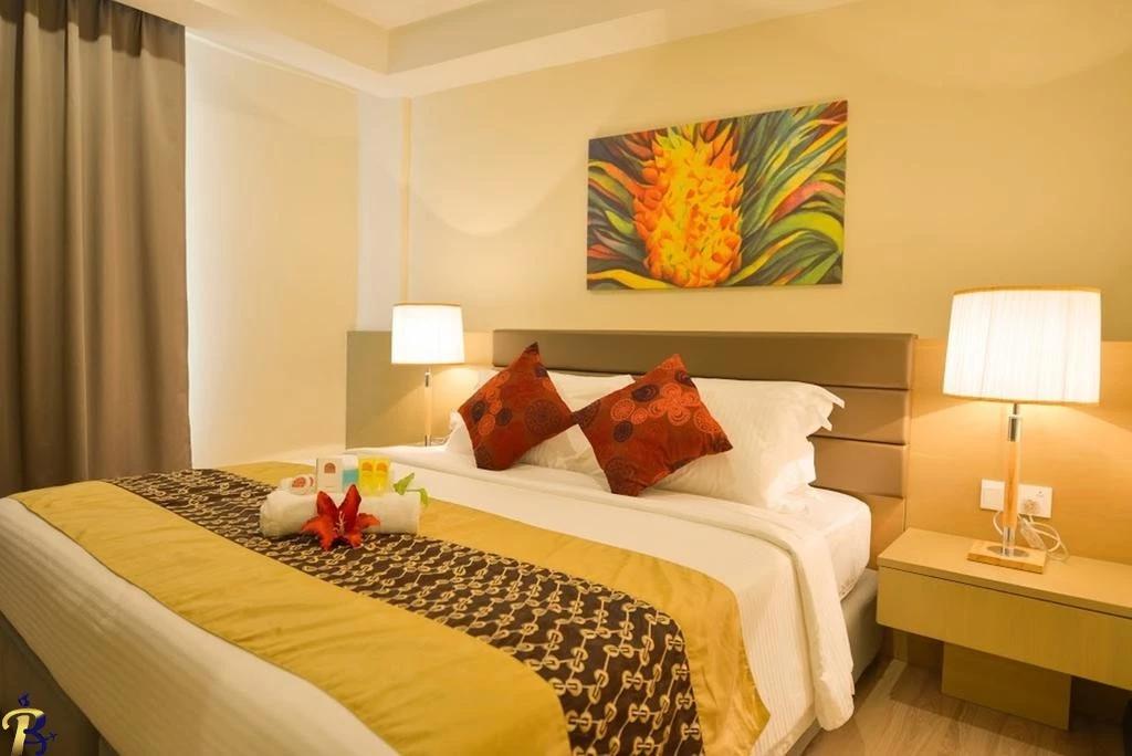 گالری تصاویر