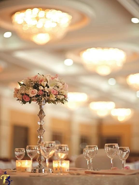 گالری تصاویر