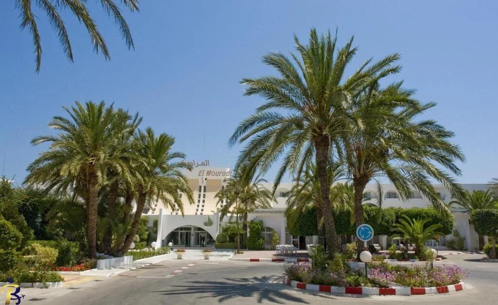 گالری تصاویر