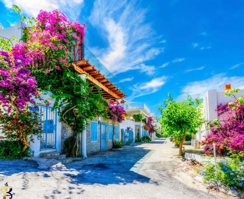 بدروم بدروم