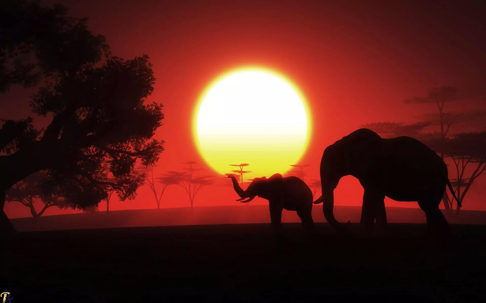 آفریقا جنوبی